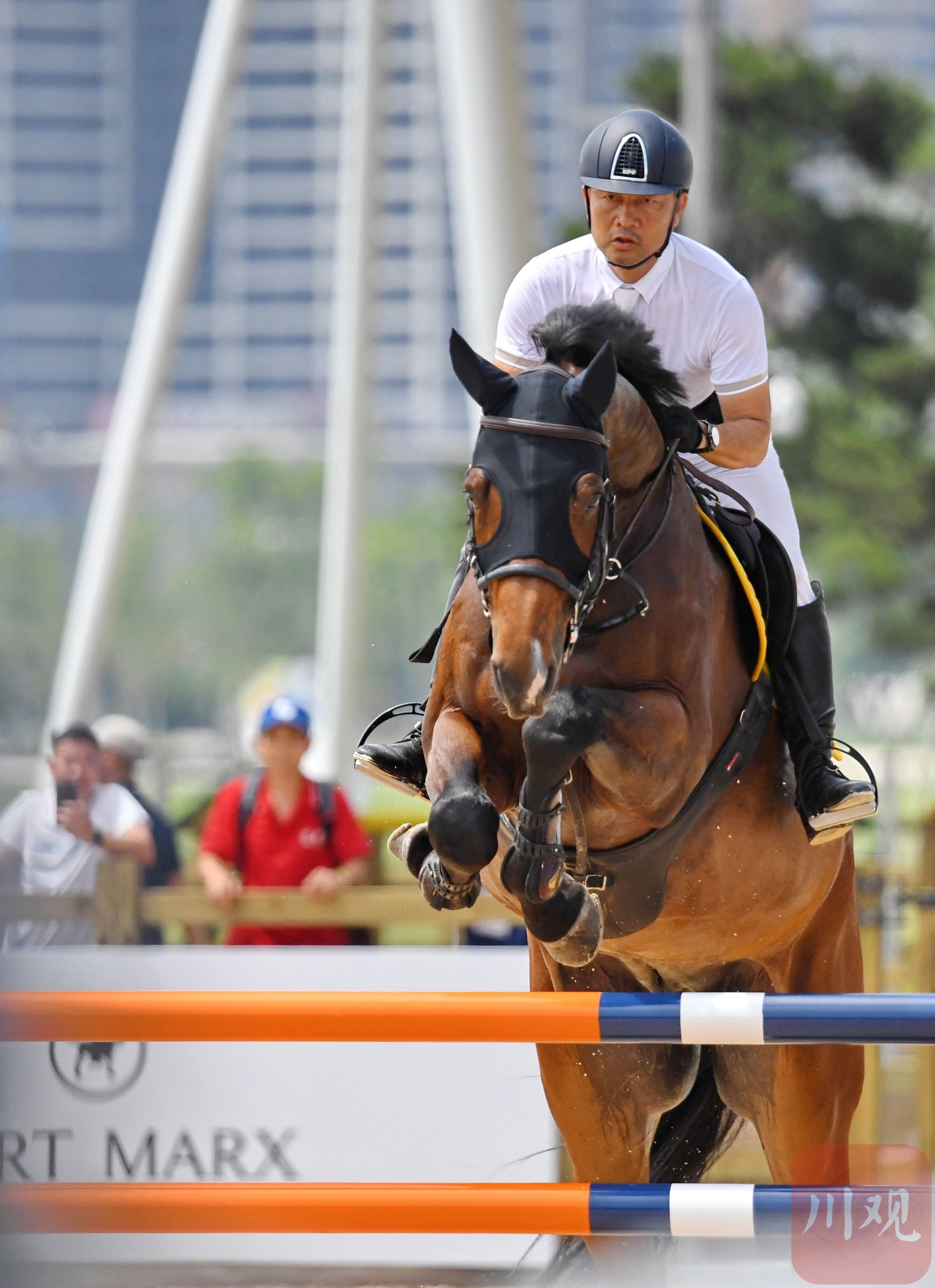 包含马术比赛选手骑术高超,出类拔萃的词条 包含马术比赛选手骑术高超,出类拔萃的词条