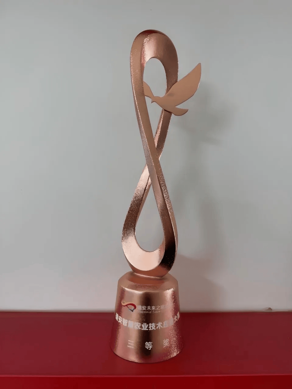 熊猫体育官网入口-拼图比赛冠军产生，技艺卓绝