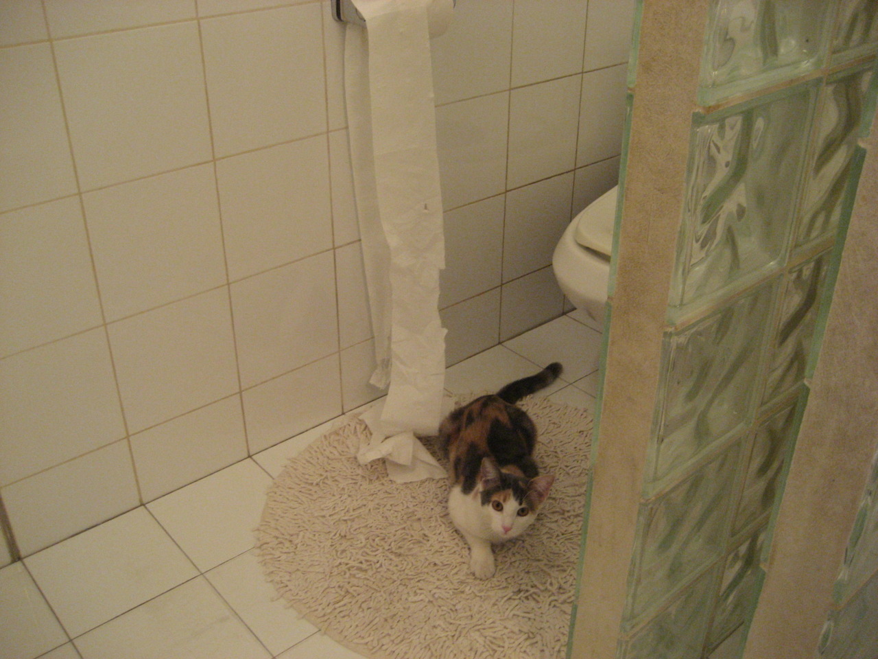 西决生死战之夜，坎特完成里程碑，一场定义职业生涯的传奇之战