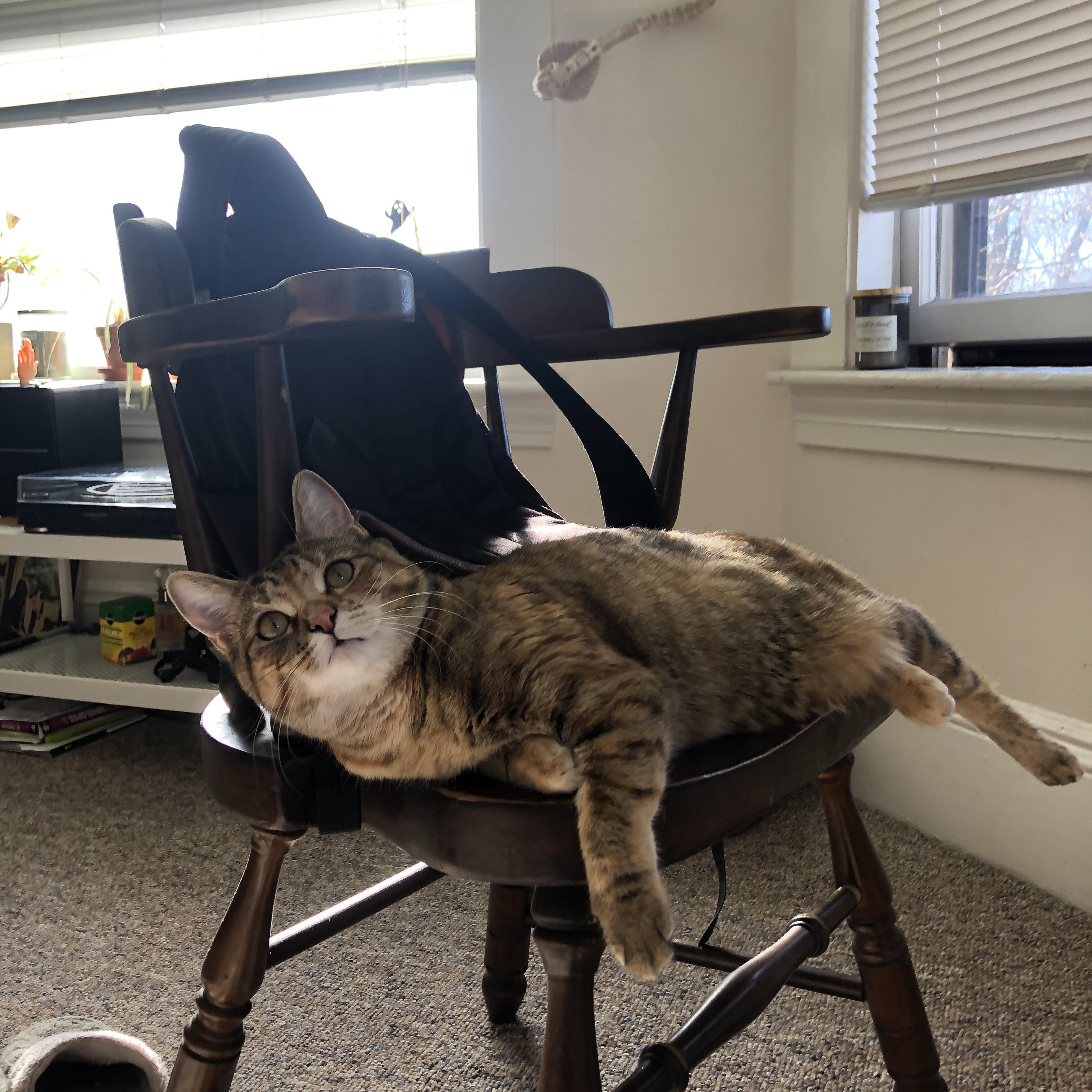 卢卡库一剑封喉，波兰军团狂胜佛罗伦萨的背后逻辑