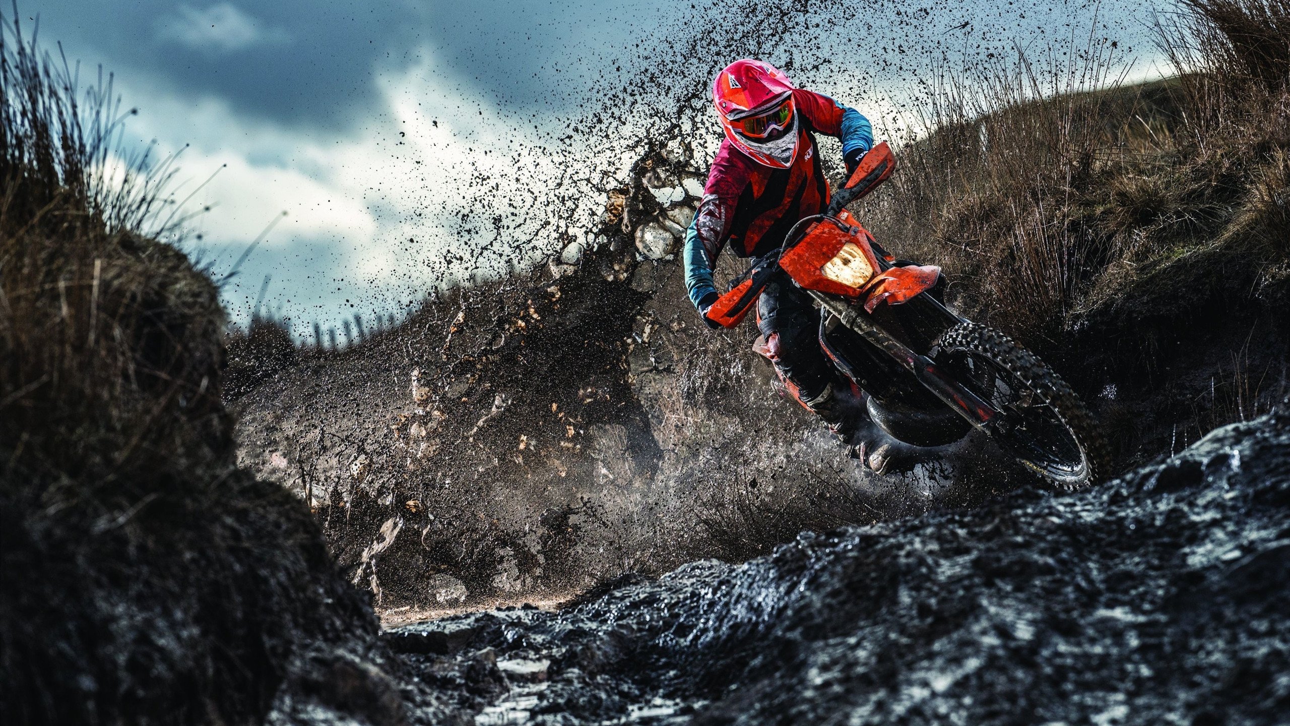 骑士单节拉开公牛，小贾伦关键回合不手软